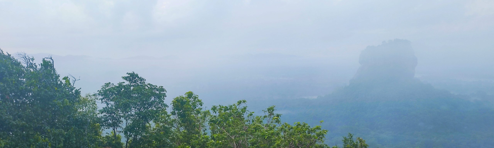 User banner image